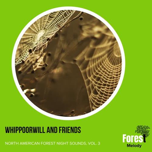 Whippoorwill and Friends - North American Forest Night Sounds, Vol. 3