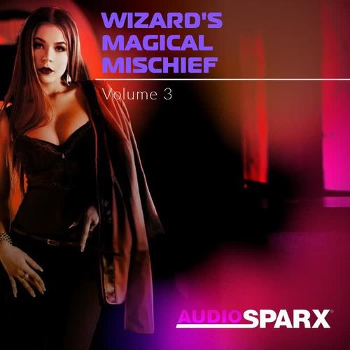 Wizard's Magical Mischief Volume 3