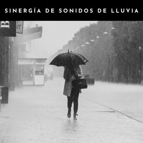 Sinergía De Sonidos De Lluvia