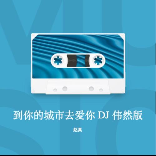 到你的城市去爱你 DJ 伟然版