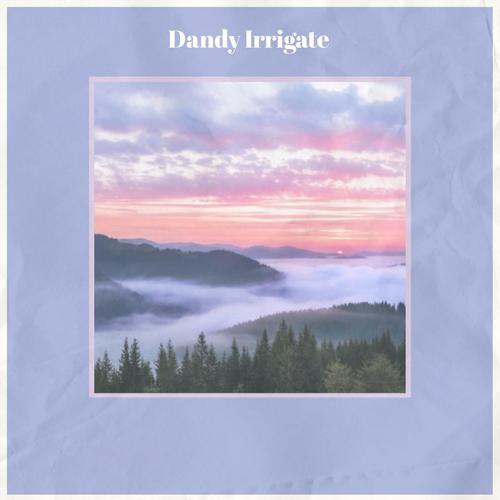 Dandy Irrigate