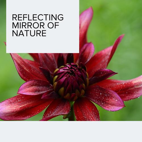 Reflecting Mirror of Nature