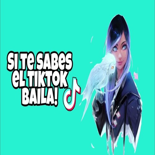 Si te sabes el TikTok baila