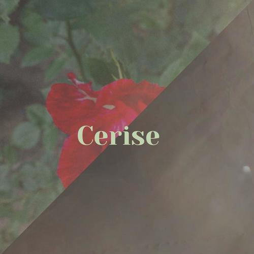 Cerise