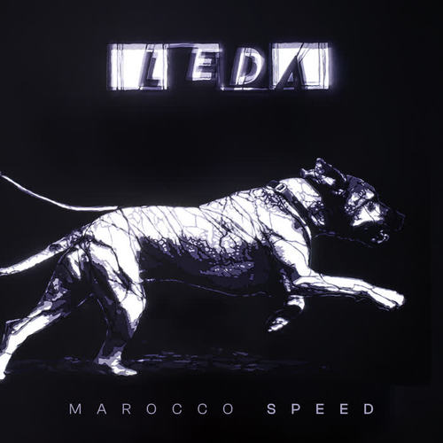 Marocco Speed