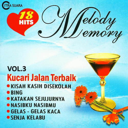 18 Hits Melody Memory, Vol. 3