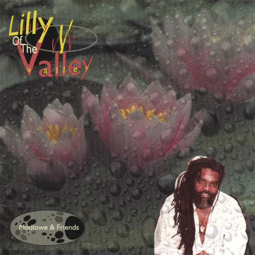 Lilly of the Valley