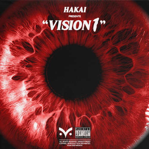 Vision 1 (Explicit)