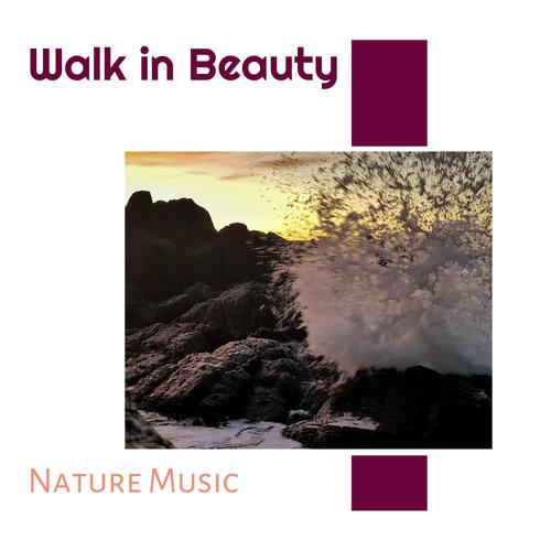 Walk in Beauty - Nature Music