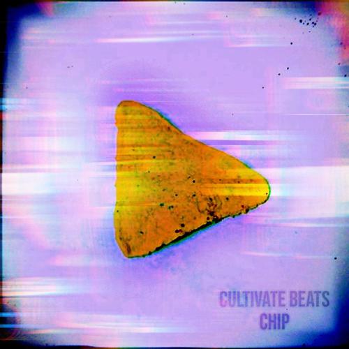 CHIP