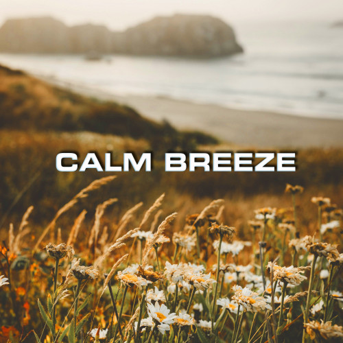 Calm Breeze