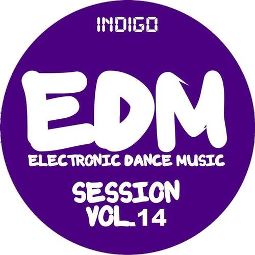 EDM Electronic Dance Music Session, Vol. 14 (Indigo)