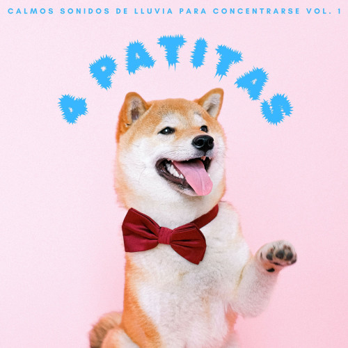 4 Patitas: Calmos Sonidos De Lluvia Para Concentrarse Vol. 1