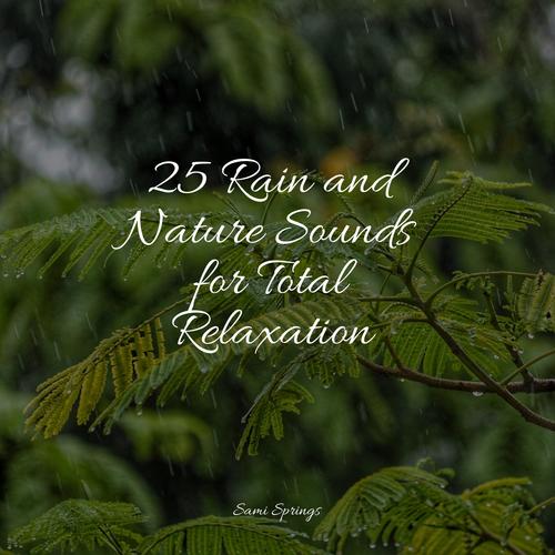 25 Rain and Nature Sounds for Total Relaxation