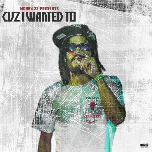 CUZ I WANTED TO... (Explicit)
