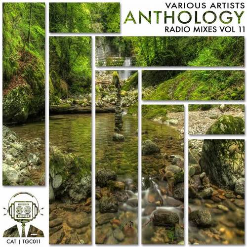 Anthology Radio Mixes, Vol. 11