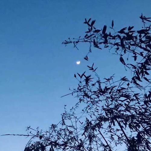 你是我写不完的词
