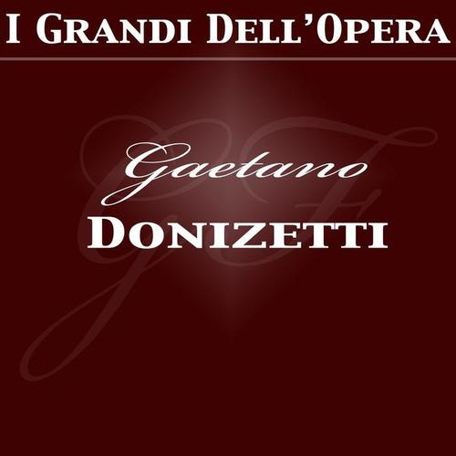 Donizetti: L'elisir d'amore