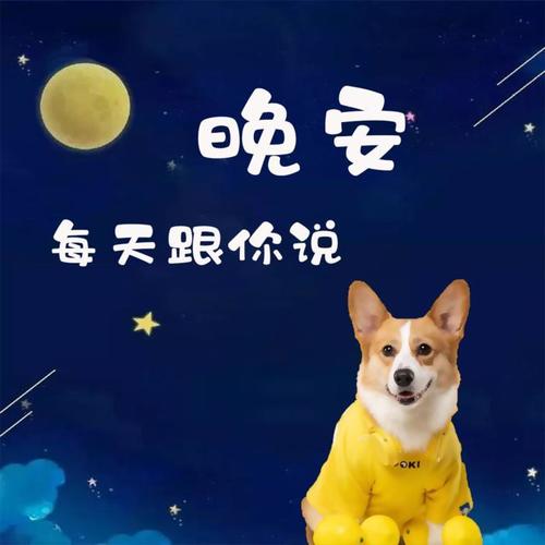 每天跟你说晚安丨夜听