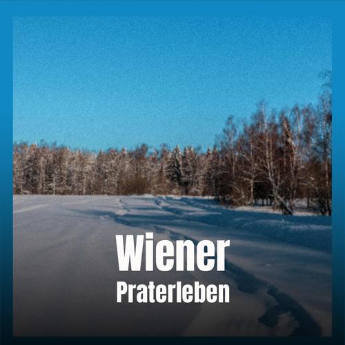 Wiener Praterleben