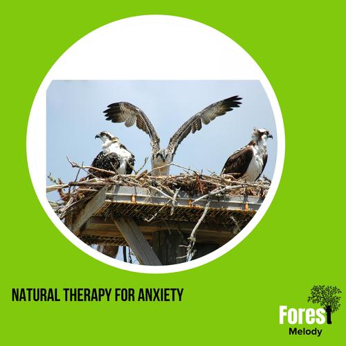 Natural Therapy for Anxiety