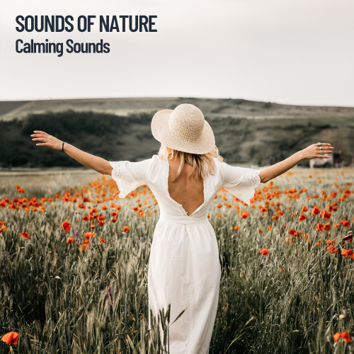 Sounds of Nature: Calming Sounds