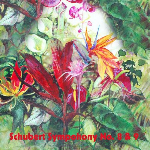 Schubert Sympohony No. 8 & 9