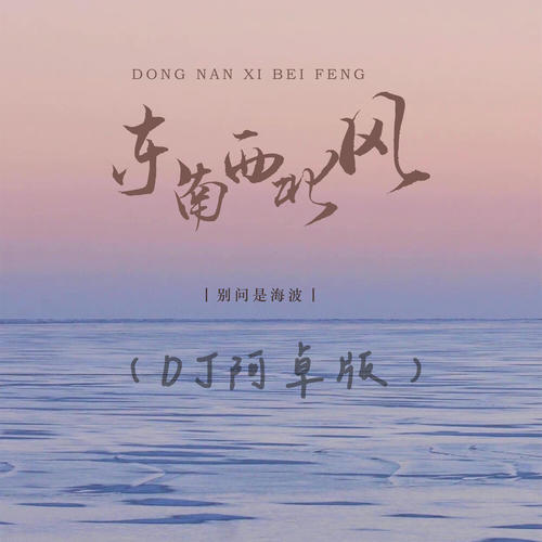 东南西北风 (DJ阿卓版)