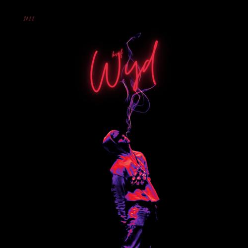 WYD (Inspectah Remix) [Explicit]