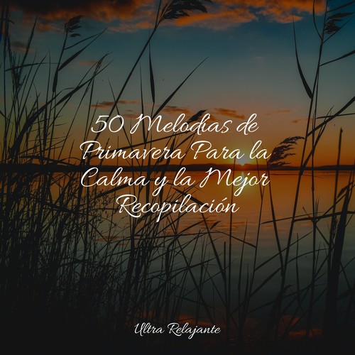 50 Melodías de Primavera Para la Calma y la Mejor Recopilación