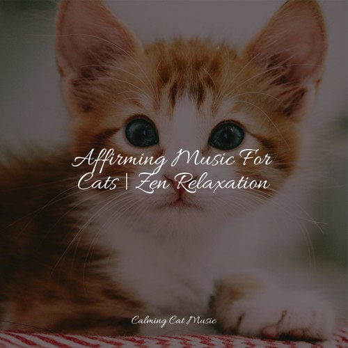 Affirming Music For Cats | Zen Relaxation