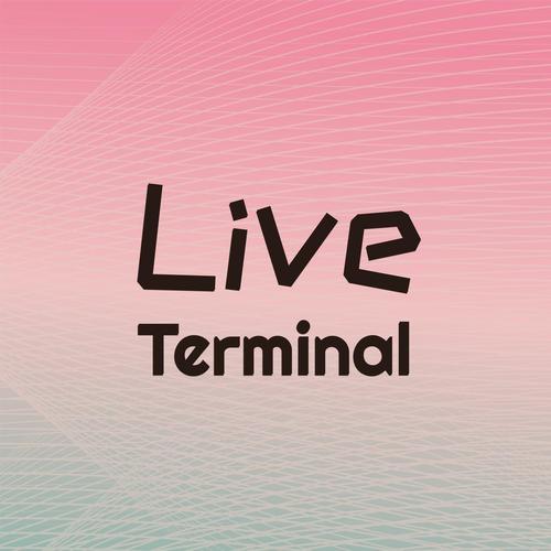 Live Terminal