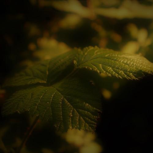 A Melancholy Spring