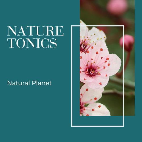 Nature Tonics - Natural Planet