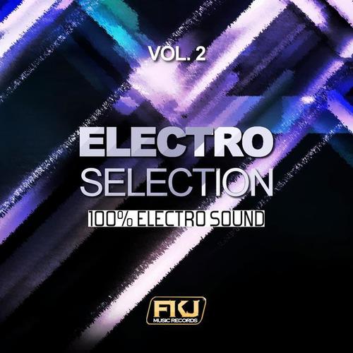 Electro Selection, Vol. 2 (100% Electro Sound)