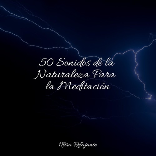 50 Sonidos de la Naturaleza Para la Meditación