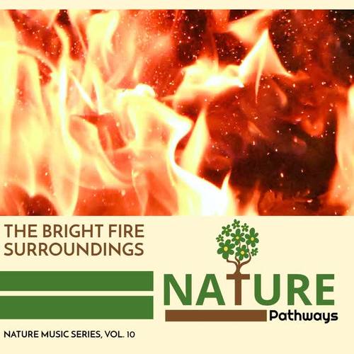 The Bright Fire Surroundings - Nature Music Series, Vol. 10