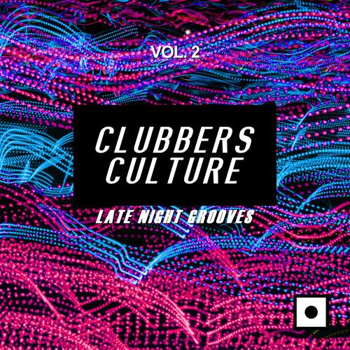 Clubbers Culture, Vol. 2 (Late Night Grooves)