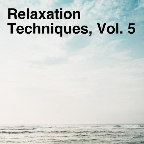 Relaxation Techniques, Vol. 5