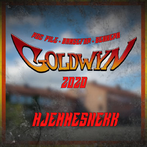 Goldwyn 2020 - Hjemmesnekk