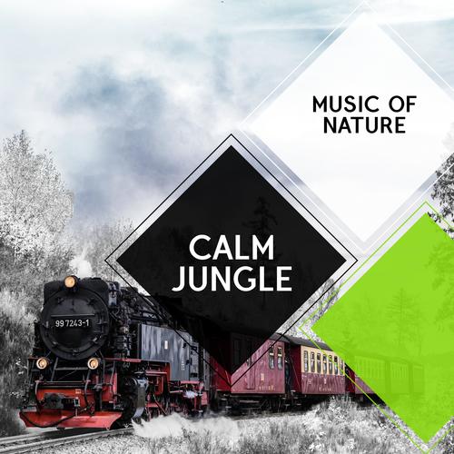 Calm Jungle - Music of Nature