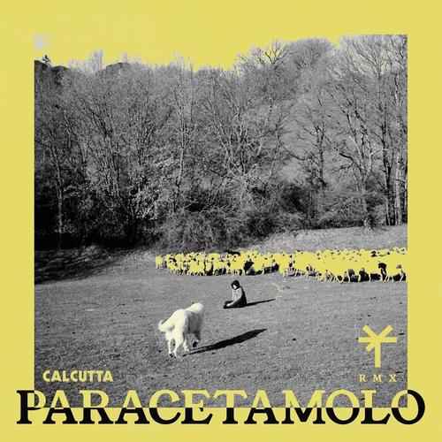 Paracetamolo (TY1 Remix) [Explicit]