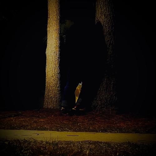 Needle of Stress (Explicit)