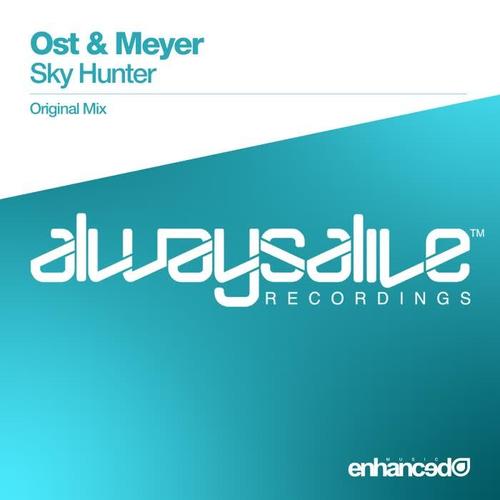 Sky Hunter