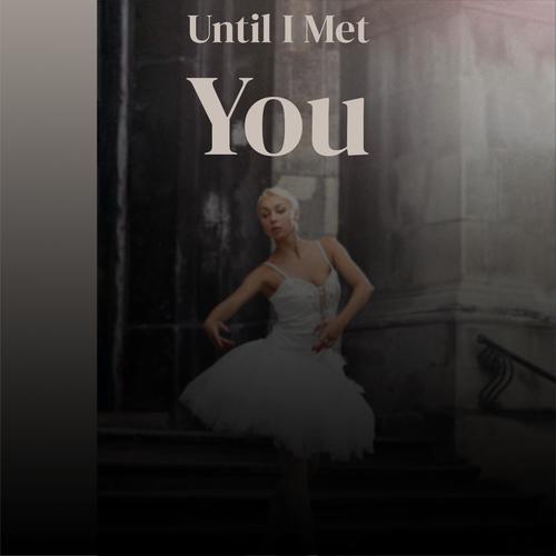 Until I Met You