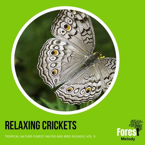 Relaxing Crickets - Tropical Nature Forest Water and Bird Sounds, Vol. 5