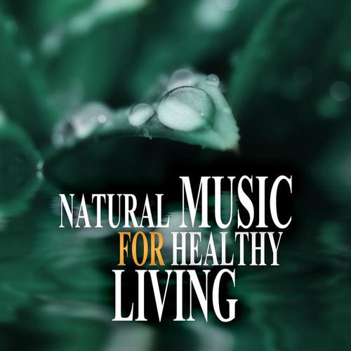 Natural Music for Healthy Living – Tranquility, Therapeutic Touch, New Age Music for Wellbeing, Relax & Meditation, Massage Music