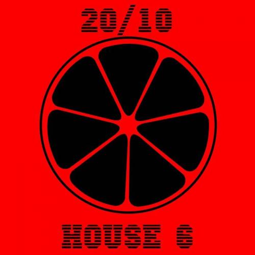 20/10 House, Vol. 6