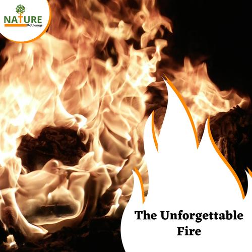 The Unforgettable Fire