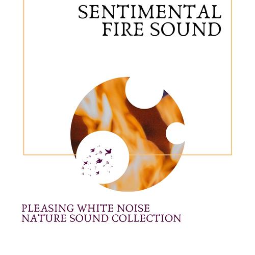 Sentimental Fire Sound - Pleasing White Noise Nature Sound Collection